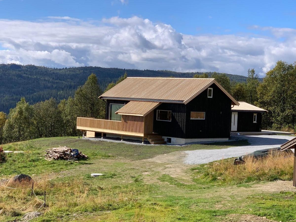 Na Er Vinteren Kommet Til Hallingdal อัล ภายนอก รูปภาพ