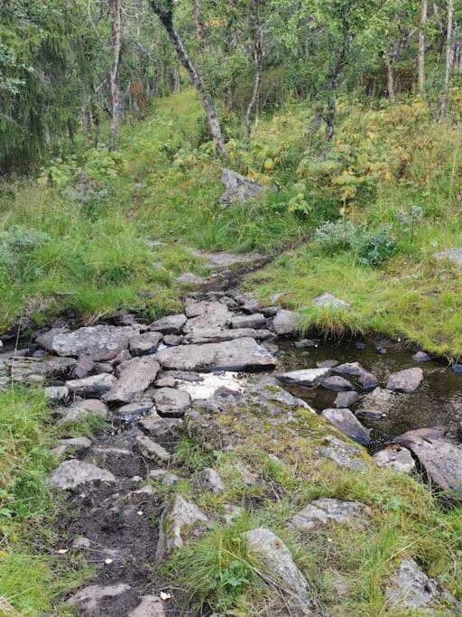 Na Er Vinteren Kommet Til Hallingdal อัล ภายนอก รูปภาพ
