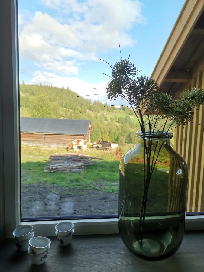 Na Er Vinteren Kommet Til Hallingdal อัล ภายนอก รูปภาพ