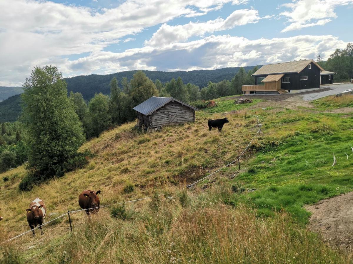 Na Er Vinteren Kommet Til Hallingdal อัล ภายนอก รูปภาพ