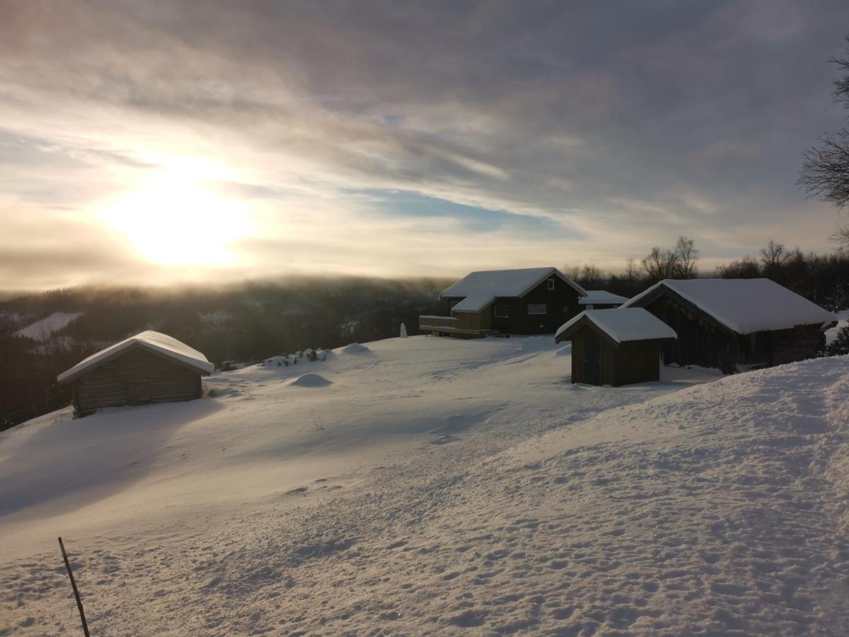 Na Er Vinteren Kommet Til Hallingdal อัล ภายนอก รูปภาพ