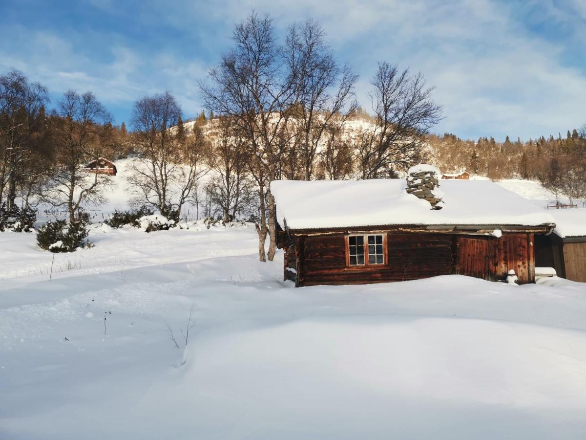 Na Er Vinteren Kommet Til Hallingdal อัล ภายนอก รูปภาพ